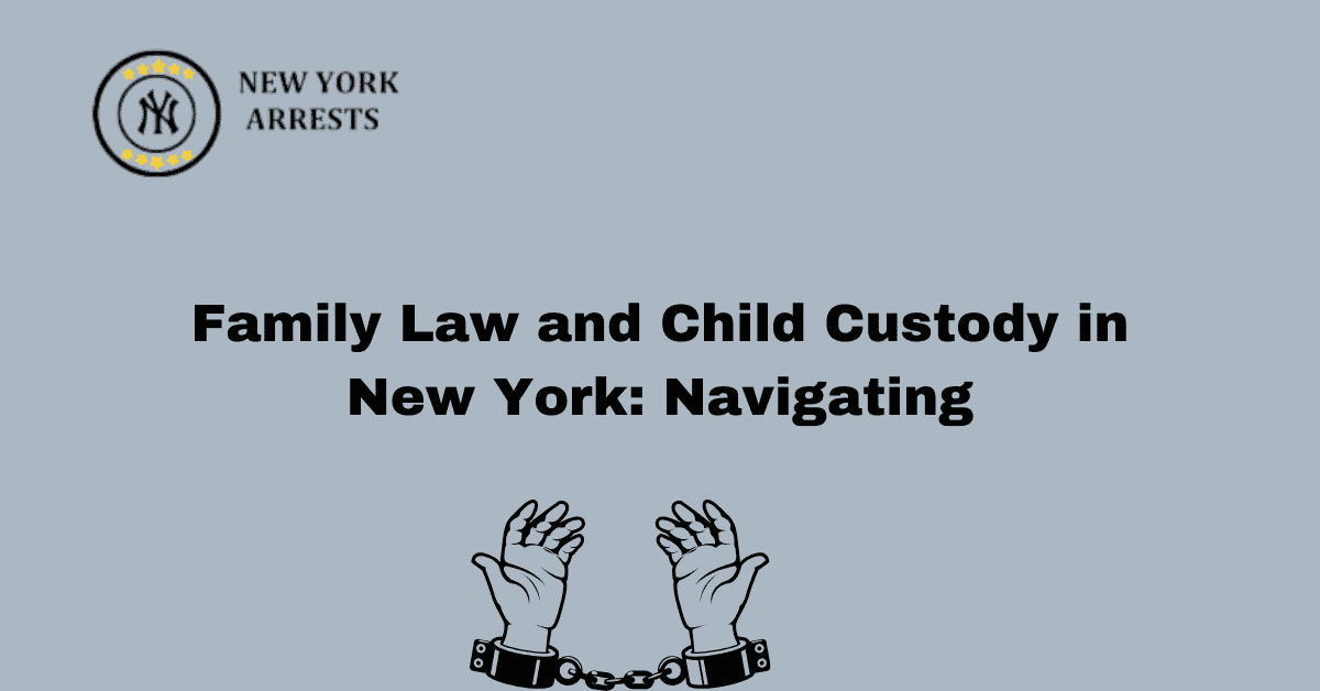 Family Law and Child Custody in New York: Navigating