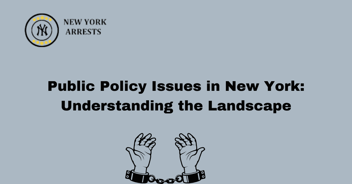 Public Policy Issues in New York: Addressing Challenges