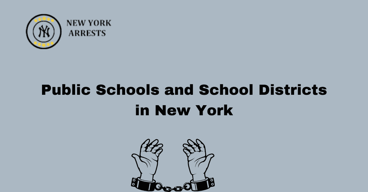 Public Schools and School Districts in New York